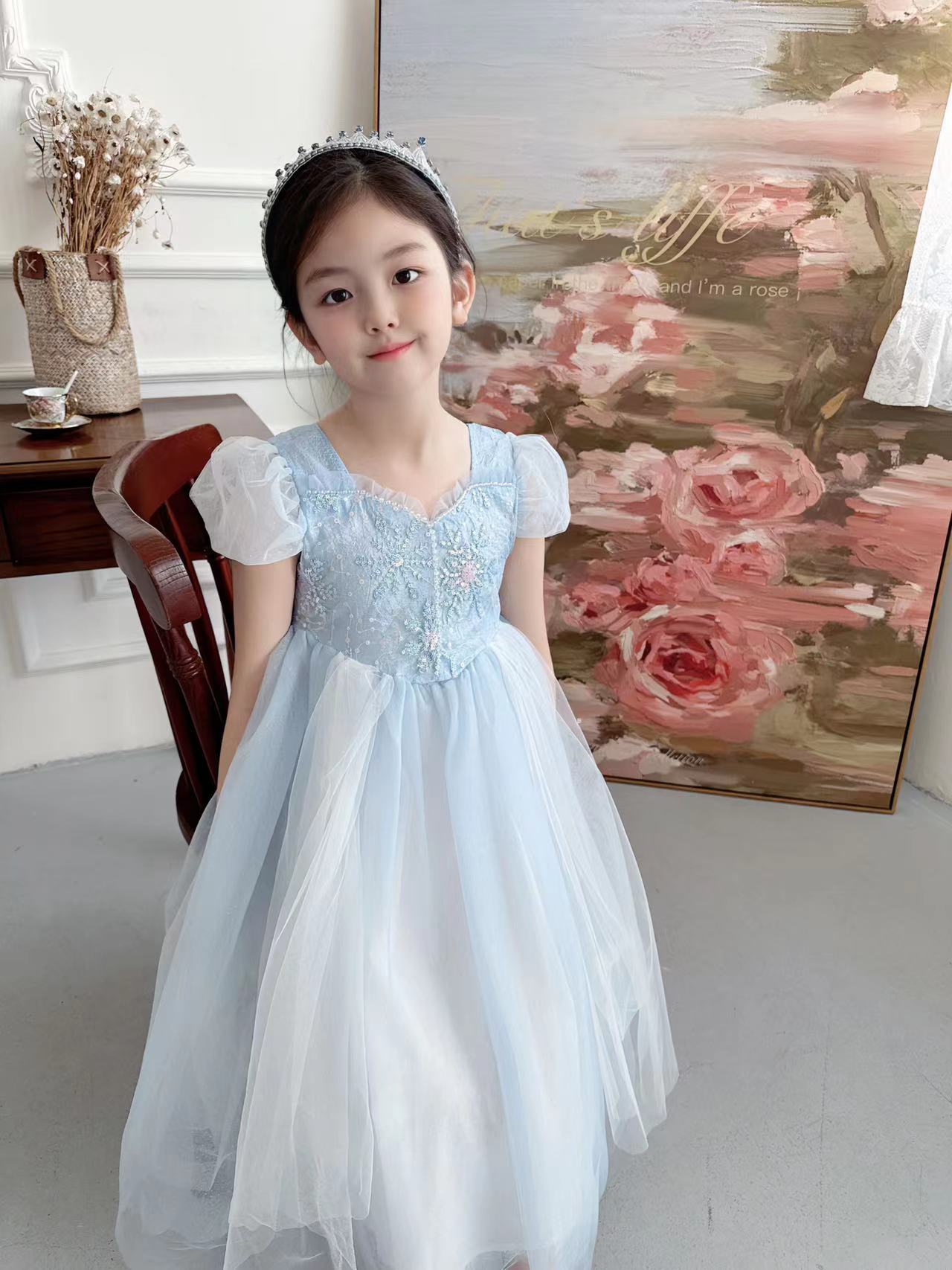 Embroidered Elsa Girls Dress f - огляд і ціна Baby Clothing Dresser