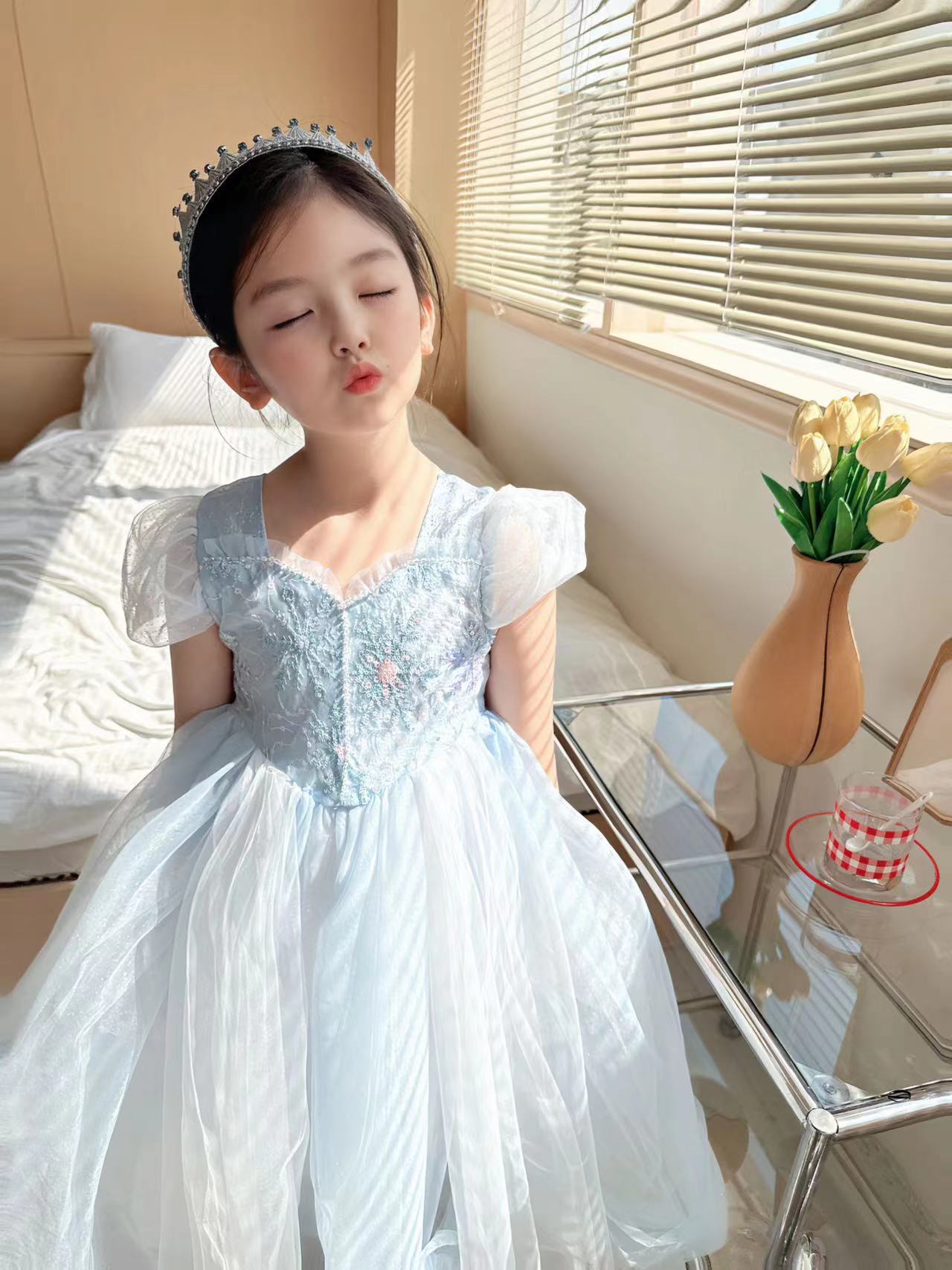 Embroidered Elsa Girls Dress f - огляд і ціна Baby Clothing Dresser